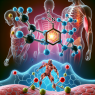 Nandrolone phenylpropionate: enhancing muscle recovery efficiency