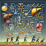 Insulin and metabolic control in sports pharmacology